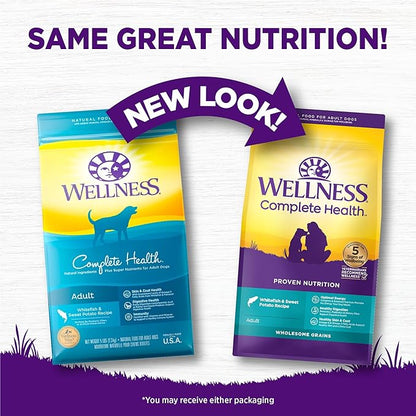 Wellness Complete Health Adult Dry Dog Food, Whitefish & Sweet Potato Recipe, 26 Pound Bag - PAWPICO
