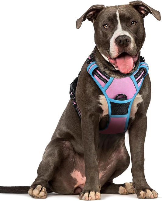 rabbitgoo Dog Harness No Pull with 2 Leash Clips, Adjustable Soft Padded, Reflective Oxford No Choke Pet Vest with Easy Control Handle for Large Dogs, Pink & Blue, L rabbitgoo