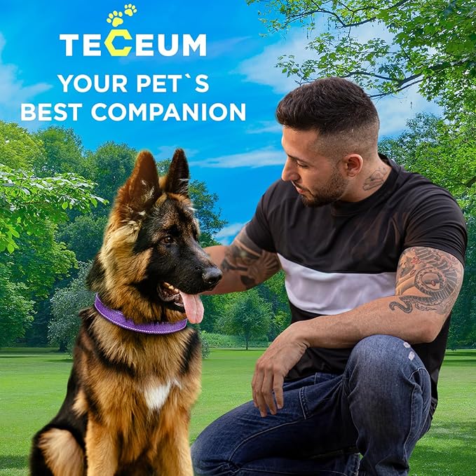 TECEUM Reflective Pet Collar – Purple – XL – Basic Nylon Dog Collar – Quick Release Buckle – Fits Small, Medium and Large Dogs, Puppies, Cats – ESA & Service Dog Options TECEUM