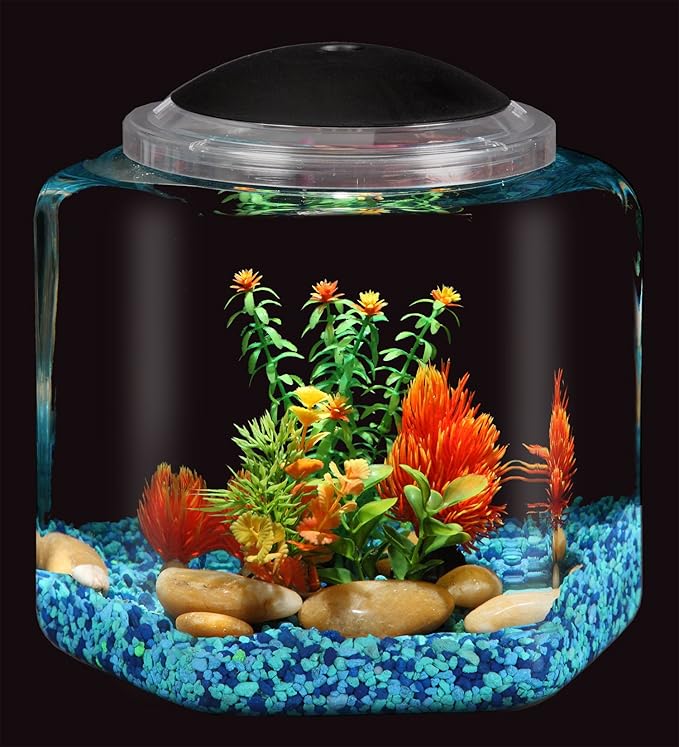 Koller Products 2-Gallon Hex Aquarium Starter Tank - LED Lighting (7 Color Selections), Impact-Resistant Plastic Fish Bowl with Stand for Betta/Nano/Goldfish, Wedding Event & Home Decor DISCOVERTHEEXCITINGWORLDOFKEEPINGTROPICALFISH