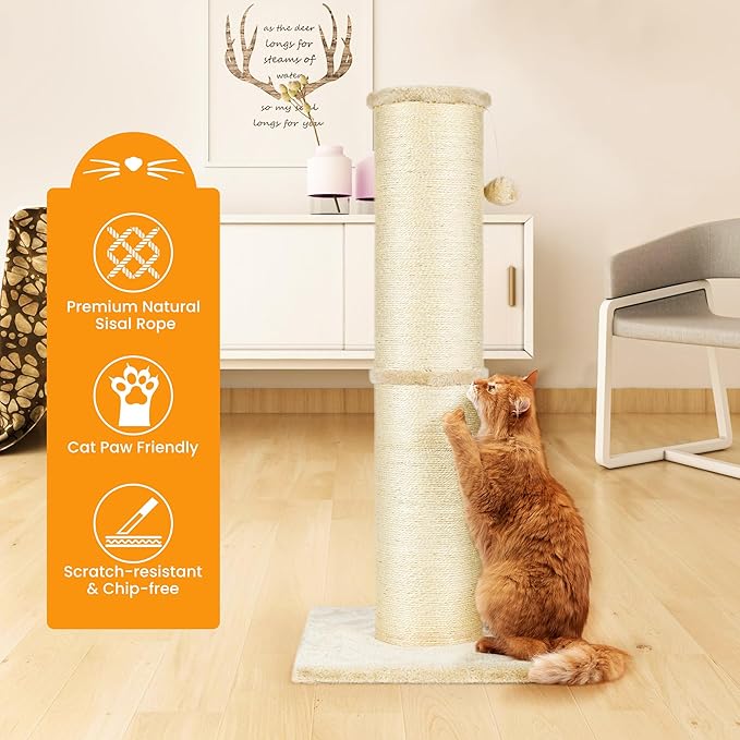 PAWSCRAT Cat Scratching Post 32 Inch High, 5.5 Inch Large Diameter Natural Sisal Cat Scratch Post, Scratch-Resistant and Durable Tall Cat Scratcher for Indoor Cats, Protect Your Furniture, Beige - PAWPICO