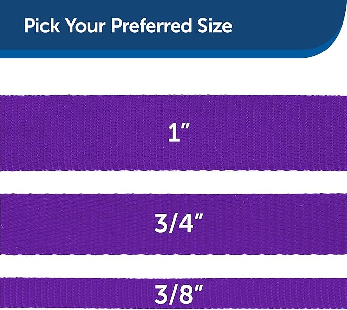 PetSafe Nylon Dog Leash – Strong, Durable, Traditional Style Leash with Easy to Use Bolt Snap – 3/4" x 6', Deep Purple PetSafe