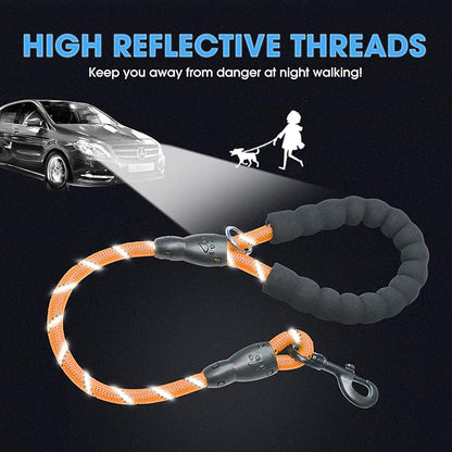 BAAPET 2/4/5/6 FT Dog Leash with Comfortable Padded Handle and Highly Reflective Threads for Small Medium and Large Dogs (2FT-1/2'', Orange) BAAPET