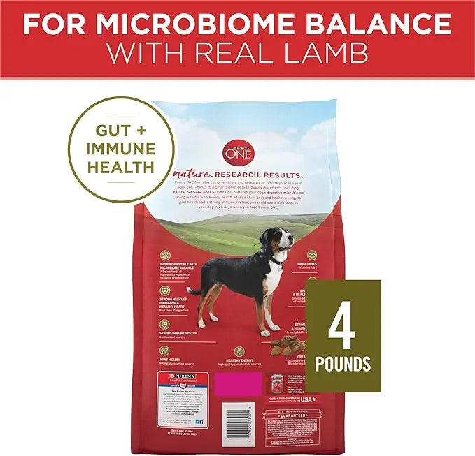 Purina ONE Dry Dog Food Lamb and Rice Formula - (Pack of 4) 4 lb. Bags - PAWPICO