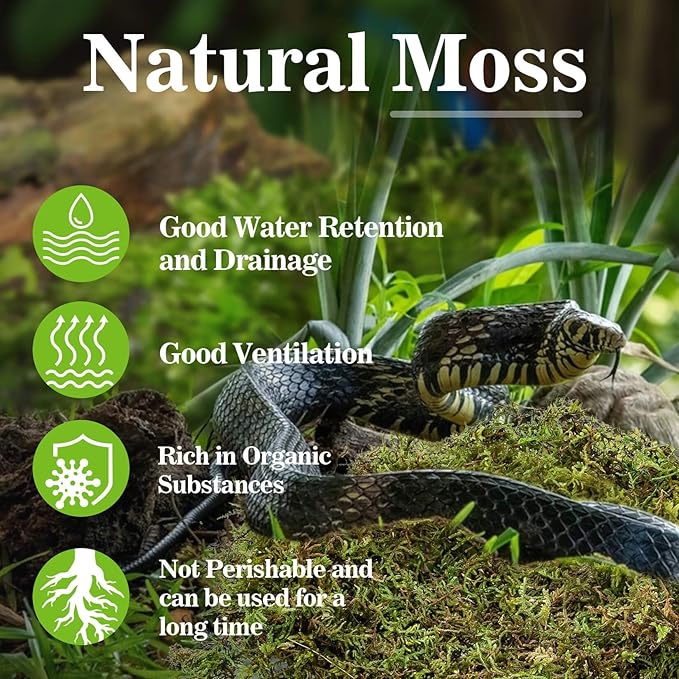Sukh Sphagnum Moss for Reptiles - Terrarium Moss for Reptiles Peat Moss for Reptiles Habitat Bedding Moss for Snakes Turtle Frog Gecko and Other Reptiles Substrate (3, Ounces) Sukh
