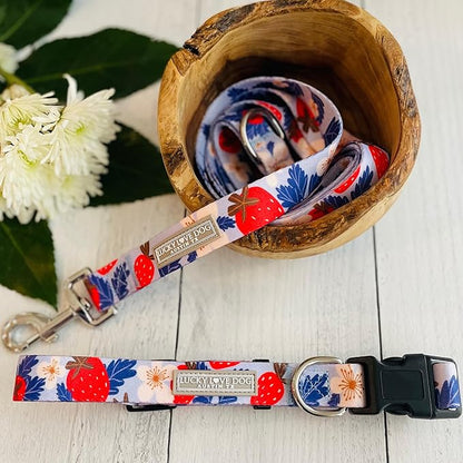 Lucky Love Dog Collar Combo Set, Strawberry Cute Girl Dog Collar and Leash Set, Dog Collar and Leash Set for Medium Dogs, Part of Purchase Donated to Rescue (Medium, Sweet Berry, Combo) LuckyLoveDog