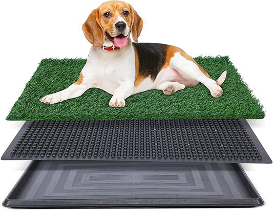 Artificial Grass for Dog Potty – 20x30 inch,Strong Absorbency Grass Pad, Dog Grass Pad with Tray, Dog Potty Training Pad, Dog Litter Box with Grass (Large) - PAWPICO