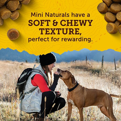 Zuke’s Mini Naturals Dog Training Treats for Dogs of All Sizes, Pet Treats made with Real Beef, 16 oz. Resealable Pouch - 16 oz. Bag - PAWPICO
