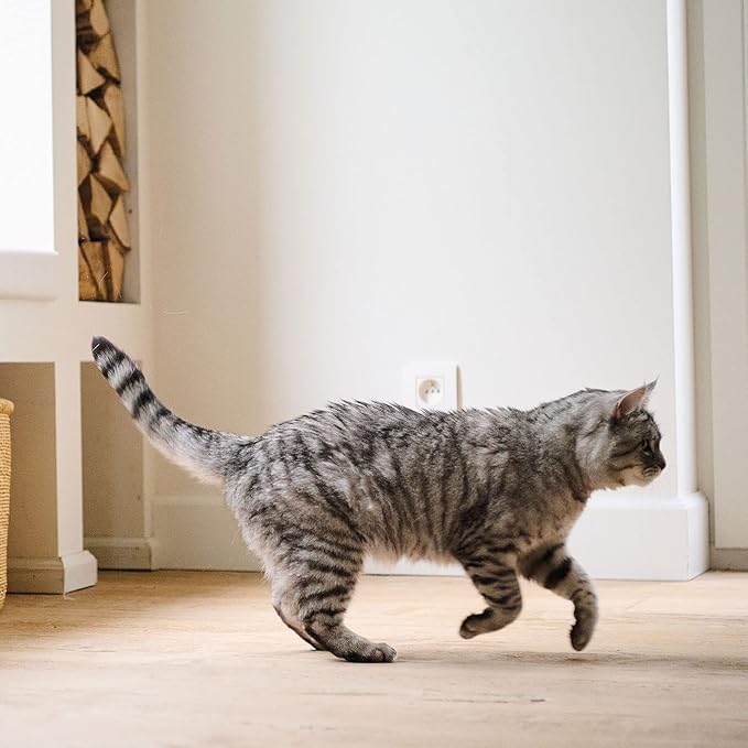 Beaphar Top 10 Cat Vitamin 180 Tablets Beaphar