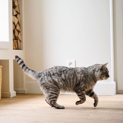 Beaphar Top 10 Cat Vitamin 180 Tablets Beaphar