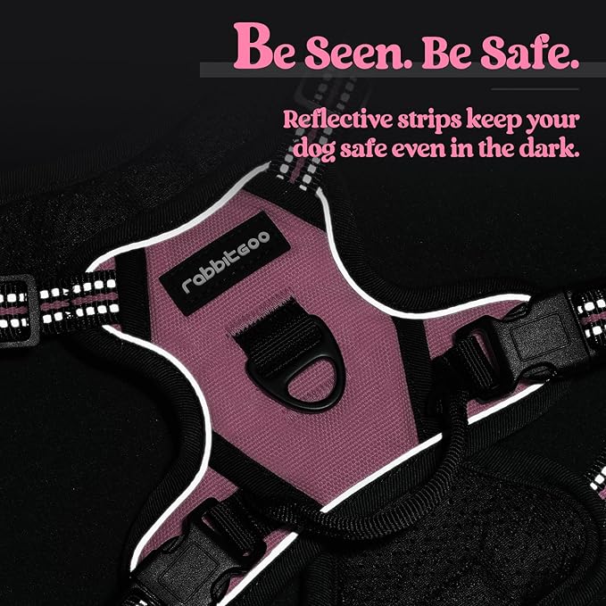 rabbitgoo Dog Harness No Pull with 2 Leash Clips, Adjustable Soft Padded, Reflective Oxford No Choke Pet Vest with Easy Control Handle for Puppy, Pink, XS rabbitgoo