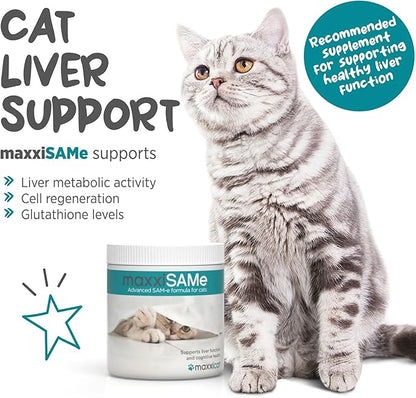 maxxiSAMe Advanced SAM-e Powder Supplement - Liver, Cognitive & Joint Support for Cats, 3.2oz maxxipaws