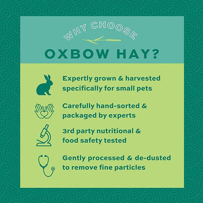 Oxbow Animal Health Orchard Grass Hay - All Natural Grass Hay for Chinchillas, Rabbits, Guinea Pigs, Hamsters & Gerbils - 15 oz. OxbowAnimalHealth