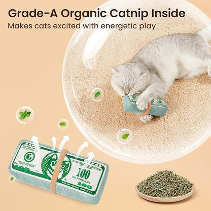 Potaroma Cat Toys US-Dollar Catnip Crinkly Sound Toy, Mesh Fabric for Teeth Cleaning, Interactive Kicker Toys for Indoor Kitten Exercise 6.0 Inches for All Breeds - PAWPICO