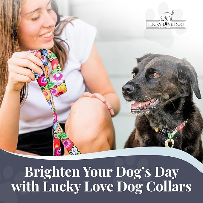 Lucky Love Dog - Easy Click Buckle Dog Collar with Leash Set Combo, Durable & Comfortable Collar for Male & Female Dogs, Pet Collar for Small to Large Dogs, Secure Fit - Blackbird Combo, X-Small LuckyLoveDog