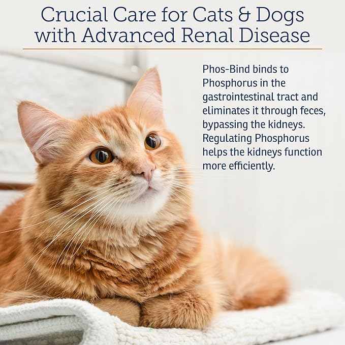 Rx Vitamins Phos-Bind - Kidney Support Supplement Powder - Phosphate Binder for Cats & Dogs for Kidney Health - Supports Normal Kidney Cleanse and Essential Kidney Care - 200g RxVitamins