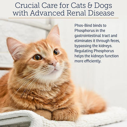 Rx Vitamins Phos-Bind - Kidney Support Supplement Powder - Phosphate Binder for Cats & Dogs for Kidney Health - Supports Normal Kidney Cleanse and Essential Kidney Care - 200g RxVitamins
