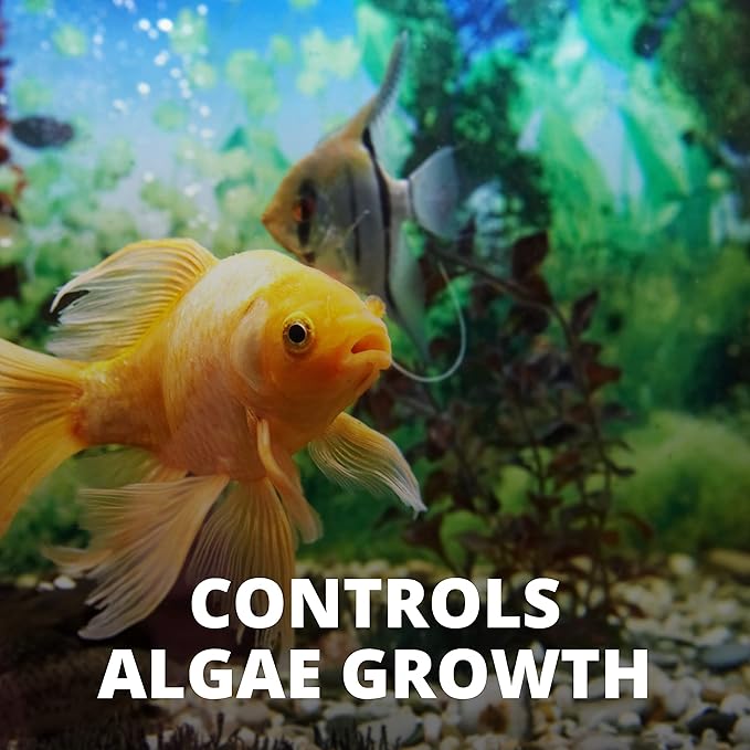 Tetra No More Algae Tablets, 8 tablets, Controls Algae in Aquariums Tetra