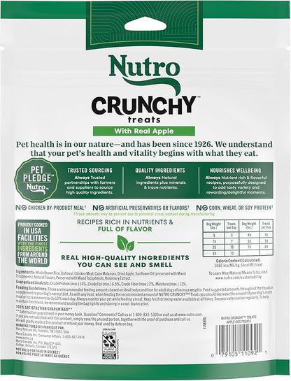 NUTRO Crunchy Dog Treats with Real Apple, 16 oz. Bag - PAWPICO