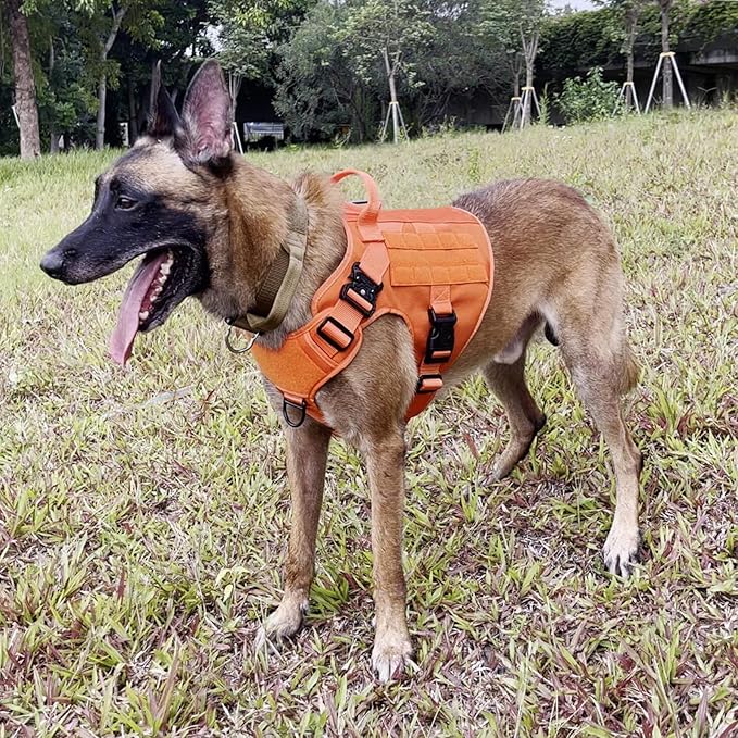 ICEFANG Tactical Dog Harness,X-Large Size, 2X Metal Buckle,Working Dog MOLLE Vest with Handle,No Pulling Front Leash Clip,Hook and Loop Panel ICEFANGDIRECT