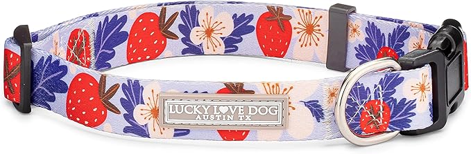 Lucky Love Dog Collars, Strawberry Cute Girl Dog Collar, Medium Dog Collars for Females, Part of Purchase Donated to Rescue (Medium, Sweet Berry, Collar) LuckyLoveDog