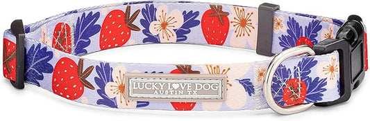 Lucky Love Dog Collars, Strawberry Cute Girl Dog Collar, Small Dog Collars for Females, Part of Purchase Donated to Rescue (Small, Sweet Berry, Collar) LuckyLoveDog