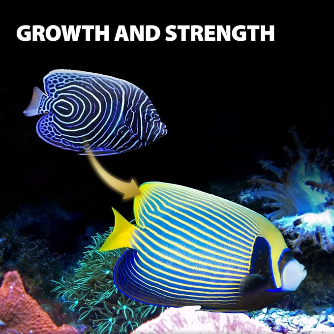 Purify Series for Marine Fish Food, Saltwater Fish Sinking Pellets, Suitable for Clown Fish, All Natural Ingredients, 2.65 oz (Pack of 2) GOODPARTNERFishFoodPurifySeries