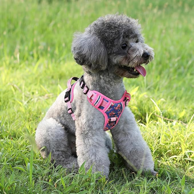Timos Dog Harness, No-Pull Pet Harness with 2 Leash Clips, Adjustable Soft Padded Dog Vest, Reflective Outdoor Pet Oxford Vest with Easy Control Handle Pink Blue Timos