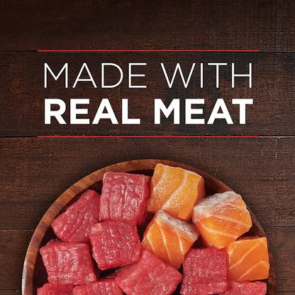 Purina ONE High Protein Wet Dog Food True Instinct Tender Cuts in Dog Food Gravy With Real Beef and Wild-Caught Salmon - (Pack of 12) 13 oz. Cans - PAWPICO