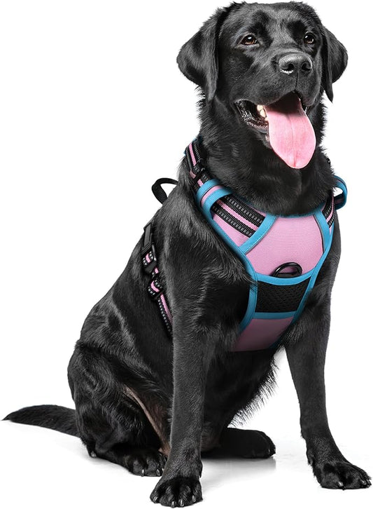rabbitgoo Dog Harness No Pull with 2 Leash Clips, Adjustable Soft Padded, Reflective Oxford No Choke Pet Vest with Easy Control Handle for Large Dogs, Pink & Blue, XL rabbitgoo