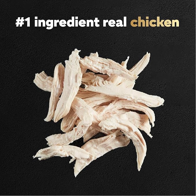 Cesar Filets in Gravy Wet Dog Food Rotisserie Chicken Flavor, 1.76 oz. Mini-Pouch, 20 Pack - PAWPICO