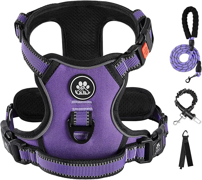 IVY&LANE No Pull Dog Harness for Small Dogs, Dog Vest Harness with Leash, Safety Belt and Storage Strap, Fully Adjustable Harness, 360° Reflective Strip, Soft Handle (Purple, XS) IVYLANE