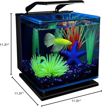 GloFish Betta Shadowbox Aquarium Kit GloFish