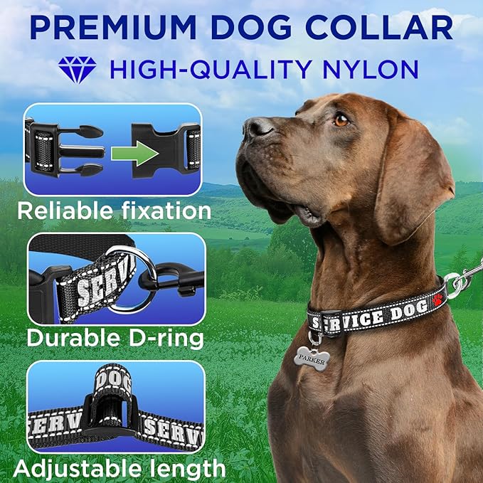 TECEUM Reflective Pet Collar – Black - Service Dog – S – Basic Nylon Dog Collar – Quick Release Buckle – Fits Small, Medium and Large Dogs, Puppies, Cats – ESA & Service Dog Options TECEUM