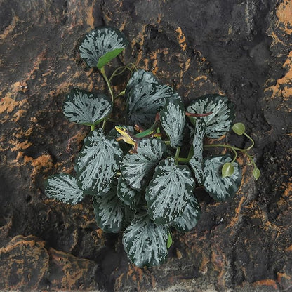 Fake Reptile Plants for Reptile Terrarium Plants, Reptile Plant Décor, Turtle Tank Plants with Suction Cup IBWell