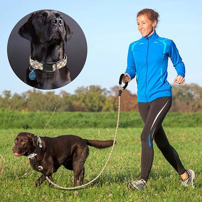 Reflective Dog Collar Padded with Soft Neoprene Breathable Adjustable Nylon Dog Collars for Small Medium Large Dogs (Small (Pack of 1), Vanilla Plaid Collar+Leash) ladoogo