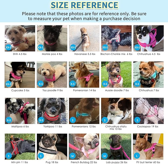 SlowTon No Pull Small Dog Harness and Leash Set, Puppy Soft Vest Harness Neck & Chest Adjustable, Reflective Lightweight Harness & Anti-Twist Pet Lead Combo for Small Medium Dogs(FU,M) SlowTon