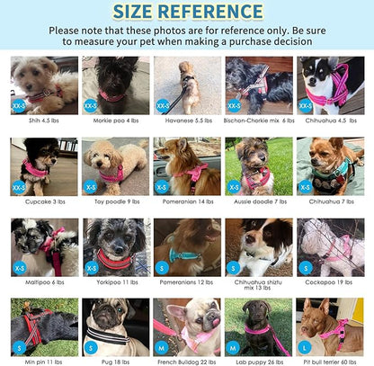 SlowTon No Pull Small Dog Harness and Leash Set, Puppy Soft Vest Harness Neck & Chest Adjustable, Reflective Lightweight Harness & Anti-Twist Pet Lead Combo for Small Medium Dogs (Fuchsia, XS) SlowTon