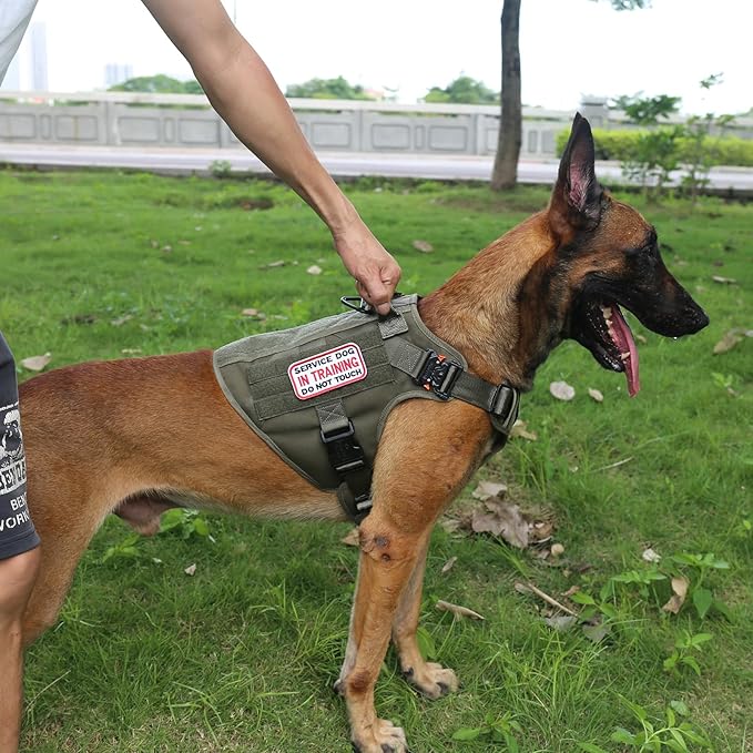 ICEFANG Tactical Dog Harness,Large Size, 2X Metal Buckle,Working Dog MOLLE Vest with Handle,No Pulling Front Leash Clip,Hook and Loop Panel - PAWPICO