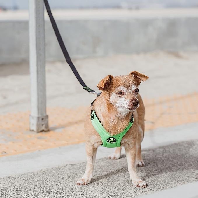Gooby Escape Free Sport Harness - Lime, Small - No Choke Step-in Patented Neoprene Small Dog Harness with Four-Point Adjustment - Perfect on The Go Dog Harness for Medium Dogs No Pull and Small Dogs Gooby