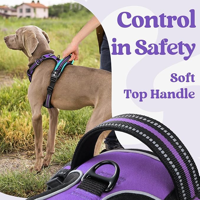 rabbitgoo Dog Harness Medium Sized, No Pull Pet Harness with 3 Buckles, Adjustable Soft Padded Pooch Vest with Instant Control Handle, Easy Walking Reflective Pet Vest for Medium Dogs, Purple, M - PAWPICO