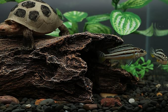 AQUA KT Reptile Hideout Tree Trunk Hollow Log Cork Bark for Lizard Bearded Dragon Snake Chameleon Hermit Crab Leopard Gecko Terrarium Habitat Decoration AQUAKT