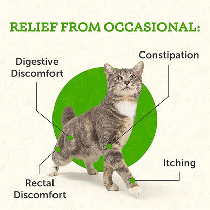 Animal Essentials Colon Rescue Powder - Herbal Digestive Aid for Dogs & Cats, Phytomucil, Healthy Gastrointestinal Tract, Certified Organic Herbs, No Preservatives, Glycerin-Based Formula - 1 Oz AnimalEssentials