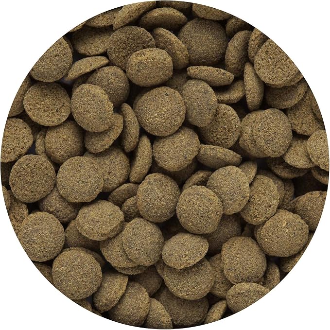 Hikari Tropical Sinking Wafers for Catfish, Loaches and Bottom Feeders 3.88 oz Hikari