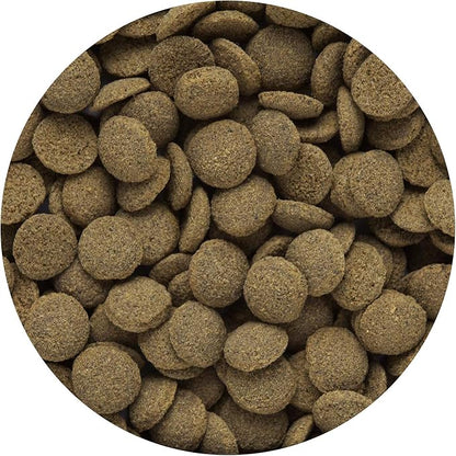 Hikari Tropical Sinking Wafers for Catfish, Loaches and Bottom Feeders 3.88 oz Hikari