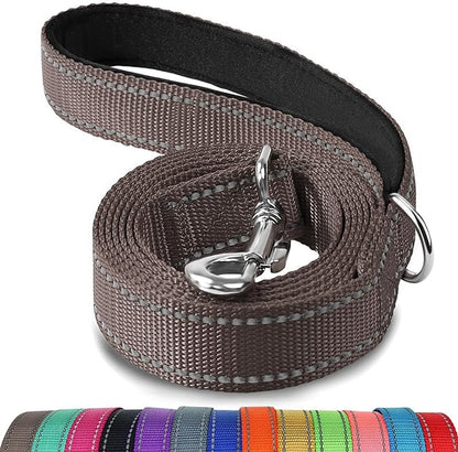 Joytale Double-Sided Reflective Dog Leash, 6 FT/5 FT/4 FT, Padded Handle Nylon Heavy Duty Leashes for Medium & Large Dogs Walking, Brown, 5FT Joytale