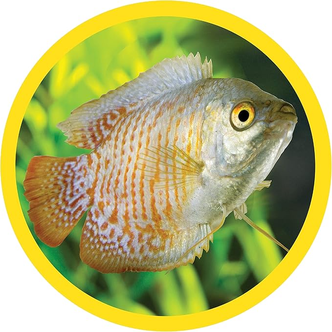 Marineland Bamboo 3 Feet, Décor For aquariums and Terrariums, Model:47431905481 Marineland