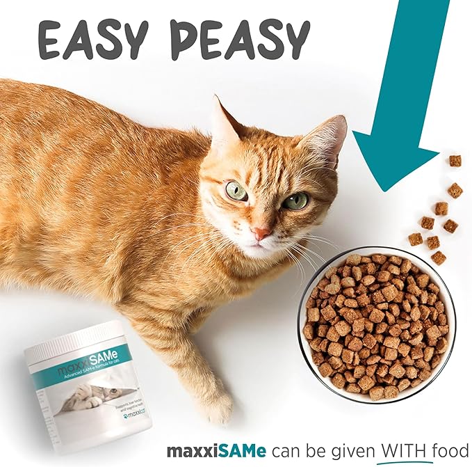maxxiSAMe Advanced SAM-e Powder Supplement - Liver, Cognitive & Joint Support for Cats, 3.2oz maxxipaws