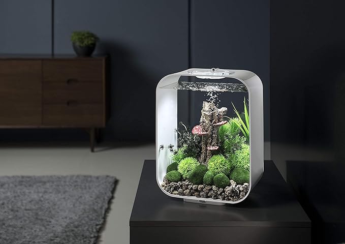 biOrb Life 15 Acrylic 4-Gallon Aquarium with Multi-Color Remote-Controlled LED Lights Modern Compact Tank for Tabletop or Desktop Display, White biOrb