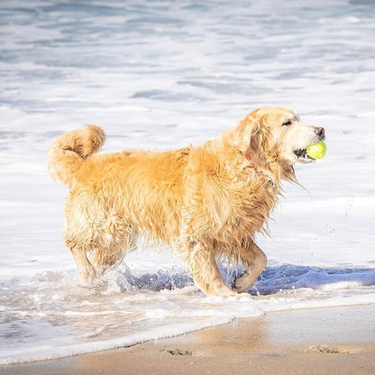 Hyper Pet Tennis Balls for Dogs - 12 Pack 2.5" for Exercise and Fetch, Interactive Toys, Great for Small Breeds - PAWPICO